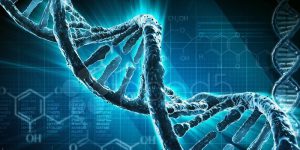 Ứng dụng AI và giải mã gene có thể biết trước được bệnh tật