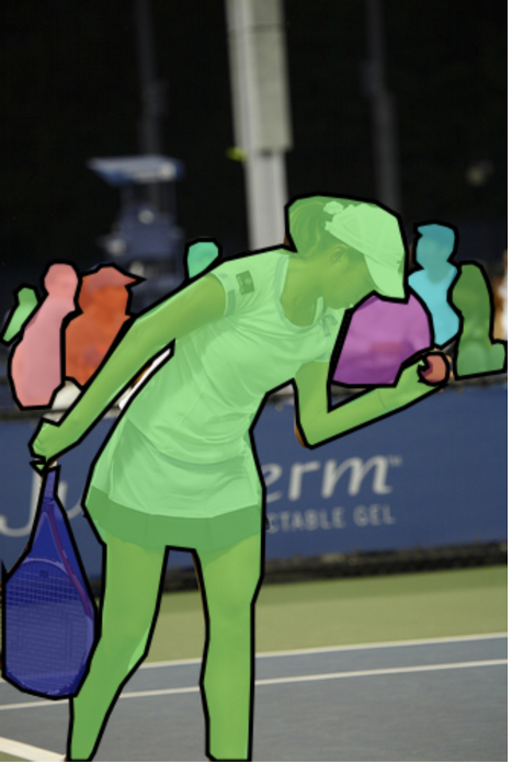 Polygonal Segmentation (Phân đoạn đa giác)