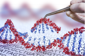 Công nghệ giải trình tự thế hệ mới – cuộc cách mạng trong nghiên cứu hệ gen và sinh học phân tử