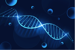 Bộ gen người hoàn chỉnh đã dần hé lộ