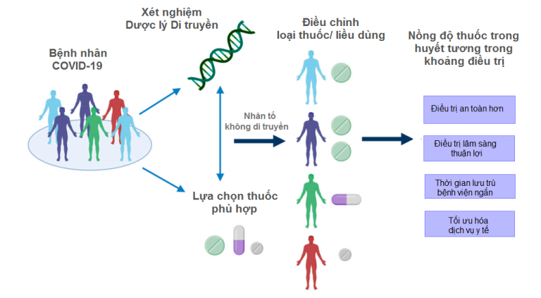 Tác động của Gene di truyền đối với hiệu quả điều trị bệnh COVID-19