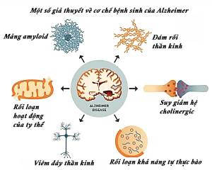 Bệnh Alzheimer – Tiến bộ trong điều trị dựa trên các dẫn chất tetrazol