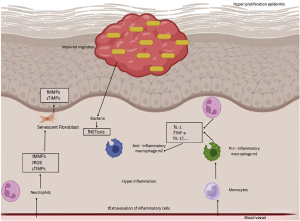 Vật liệu nano chữa lành vết thương: hiện tại và tương lai