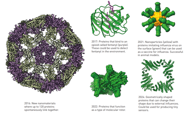 Giải Nobel Hóa học 2024: Bí mật của protein được hé lộ qua điện toán và trí tuệ nhân tạo