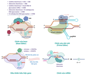 Những đột phá mới trong công nghệ chỉnh sửa gen